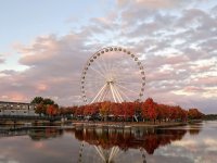 Montreal Reisen
