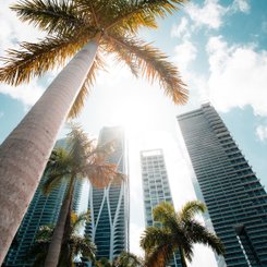 USA Reise - Miami