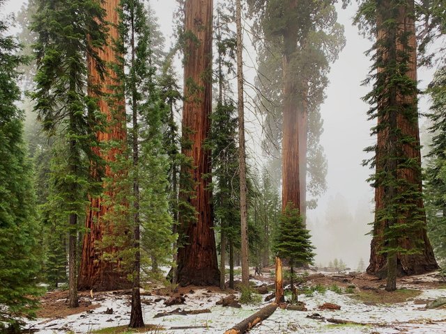 Mammoth Lakes Reise