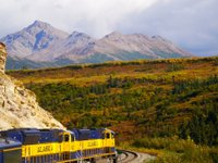 Alaska Reise - Alaska Railroad im Denali NP 
