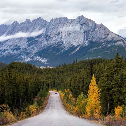 Kanada Reise Jasper NP