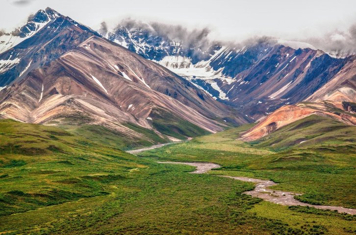 Denali Nationalpark Reise