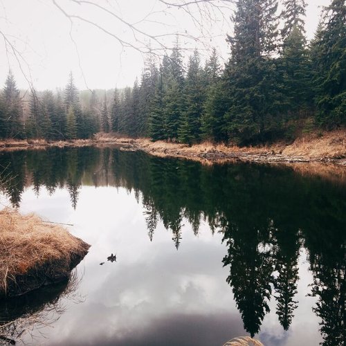 Kanada Reise - Edmonton