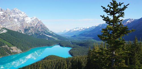 Kanada Reise - Peyto Lake