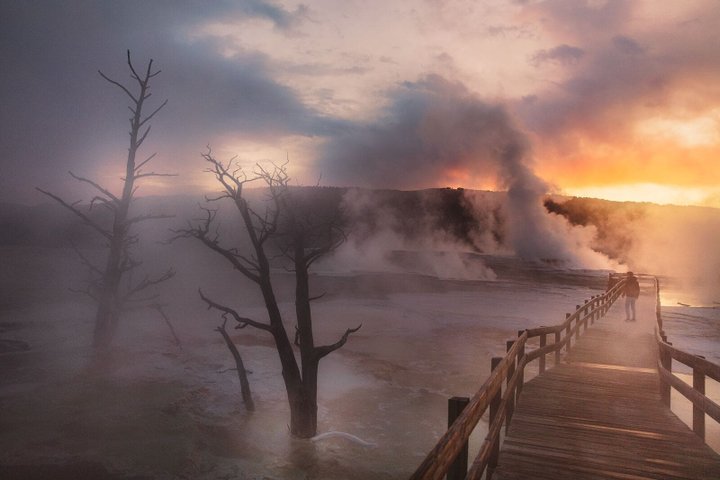 USA Reise - Yellowstone National Park