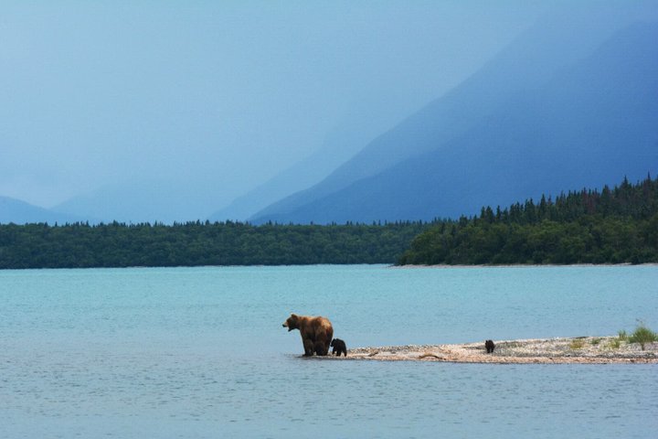 Alaska Nordkanada Reise