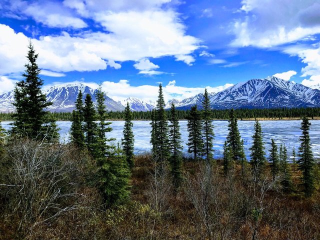 Talkeetna Reise