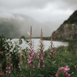 Anchorage Reise