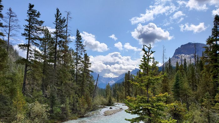 Kanada Reise - Takakkaw Fälle, Yoho NP