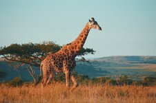 Suedafrika Reise