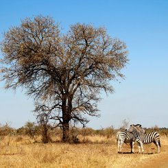 Suedafrika Reise