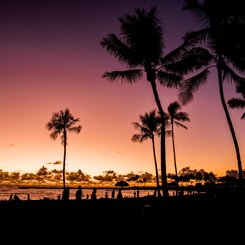 USA Reise - Waikiki in Hawaii am Abend