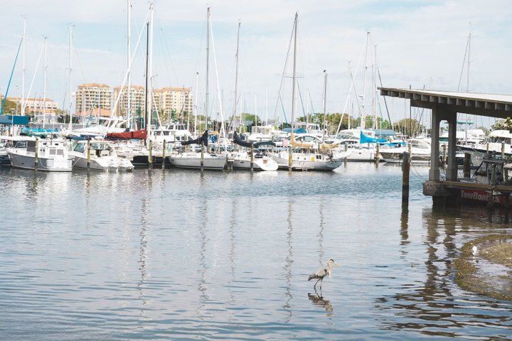 USA Reise - Clearwater Pier in St Petersburg