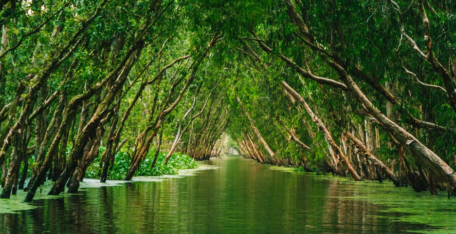 Vietnam Reise