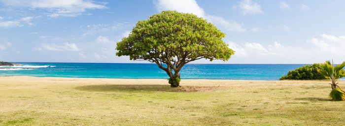 USA Reise - Poipu Strand in Kauai
