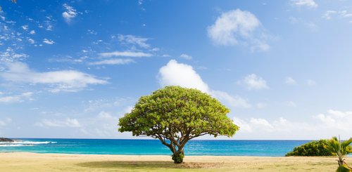 USA Reise - Poipu Strand in Kauai