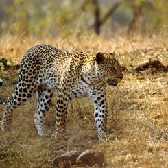Suedafrika Reise