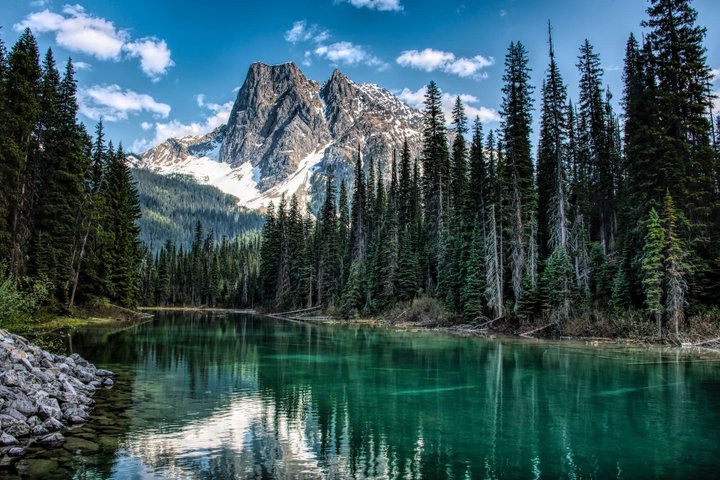 Kanada Reise - Revelstoke NP