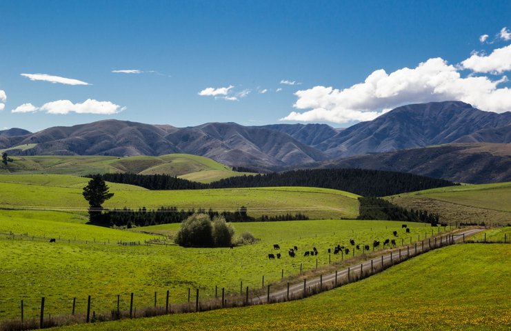 Neuseeland Reise