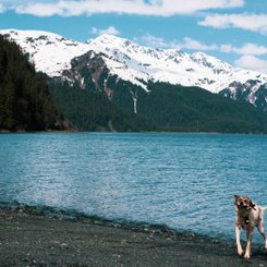Seward Reise