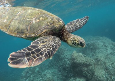 USA Reise - Oahu, Hawaii
