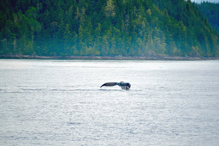 Kanada Reise - Telegraph Cove
