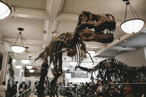 USA Reise - New York
