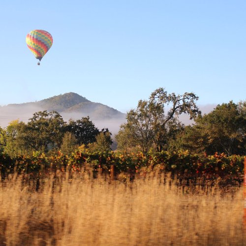 USA Reise - Napa Valley
