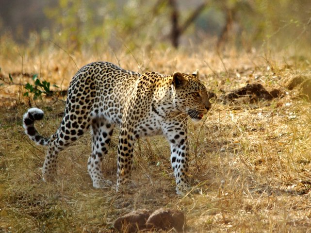 Suedafrika Reise
