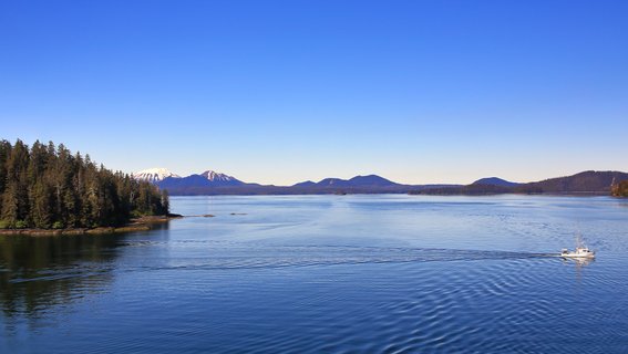 Alaska Reise - Icy Strait