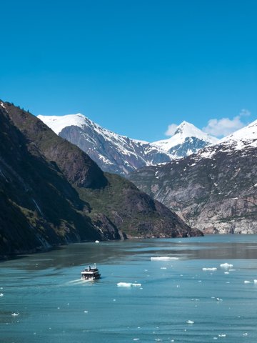 Alaska Reise - Tracy Arm