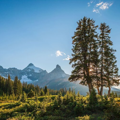 Kanada Reise Jasper NP