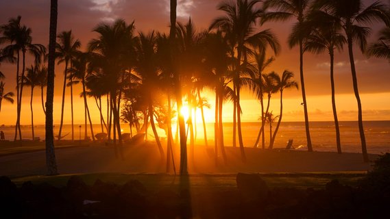 USA Reise - Kohala Küste