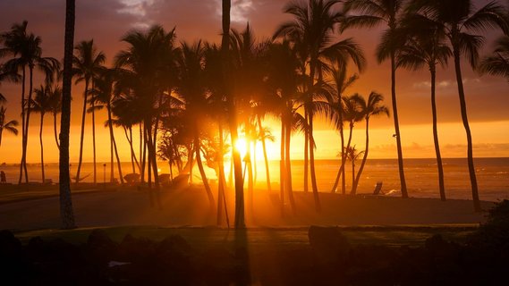 USA Reise - Kohala Küste
