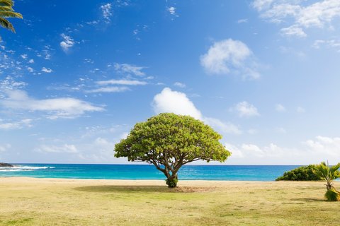 USA Reise - Poipu Strand in Kauai