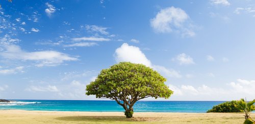 USA Reise - Poipu Strand in Kauai