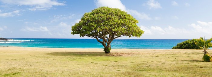 USA Reise - Poipu Strand in Kauai