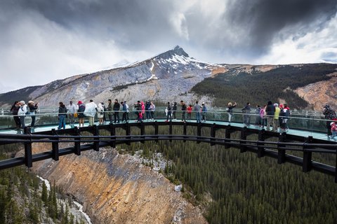 Kanada Reise: Glacier Skywalk, Icefields Parkway