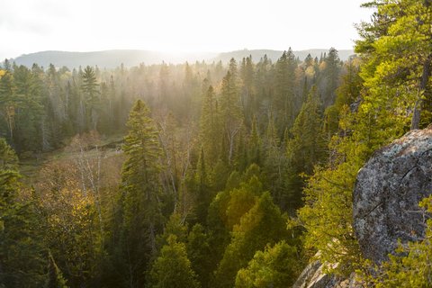 Kanada Reise - Landschaft im Algonquin Provincial Park  