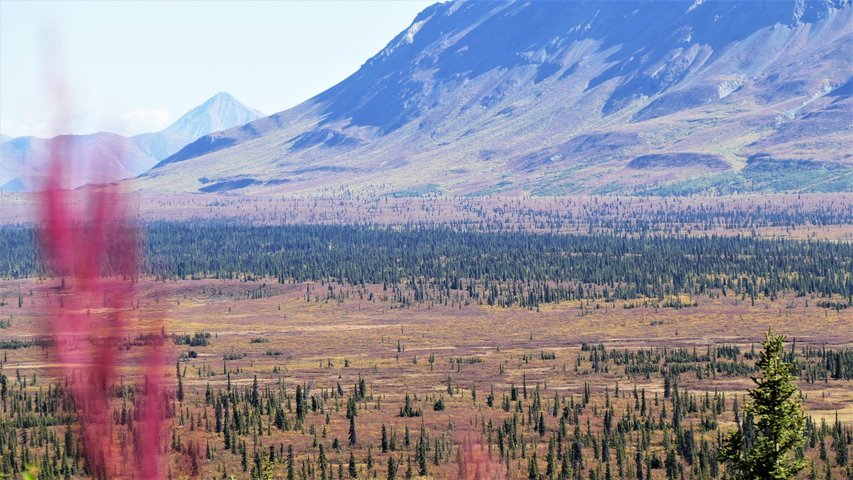 Alaska Reise - Glenn Highway