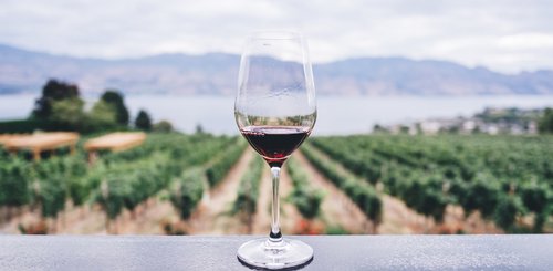 Kanada Reise - Okanagan Tal