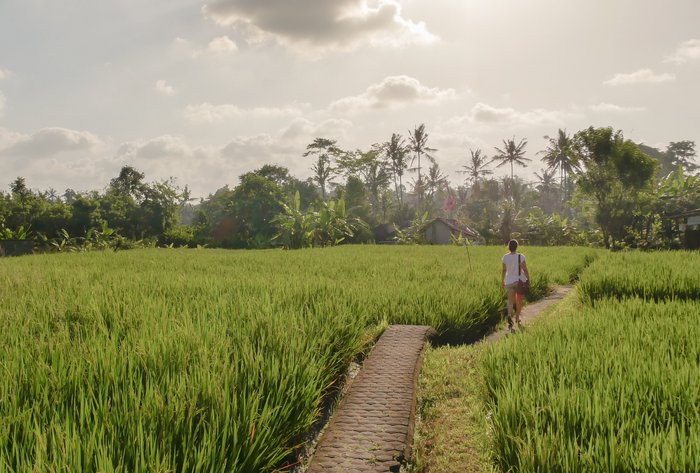 Bali Landschaft