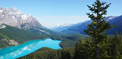 Kanada Reise - Peyto Lake