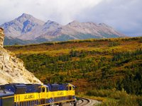 Alaska Reise - Alaska Railroad im Denali NP