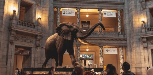 USA Reisen - Smithsonian Nationalmuseum für Naturgeschichte