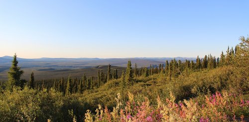 Alaska Reise - Eagle Plains, Dempster Highway