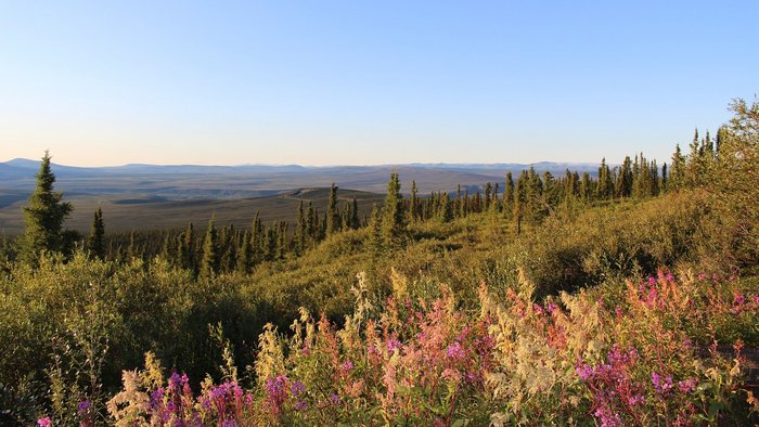 Alaska Reise - Eagle Plains, Dempster Highway