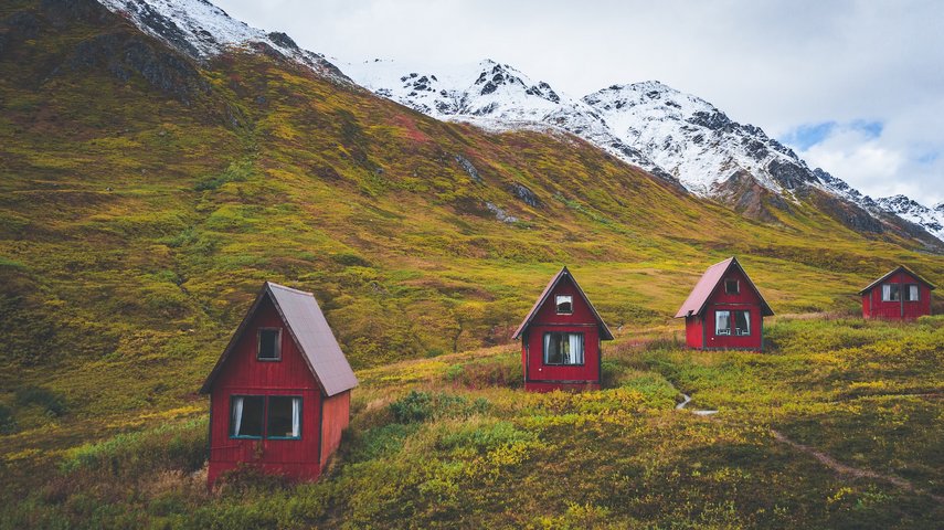 Alaska Reise - Hatcher Pass Willow, Talkeena