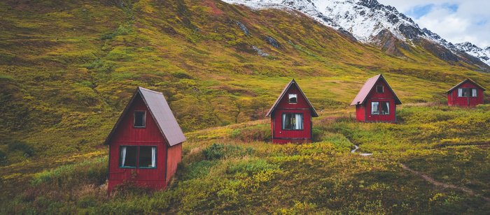 Alaska Reise - Hatcher Pass Willow, Talkeena
