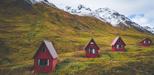 Alaska Reise - Hatcher Pass Willow, Talkeena